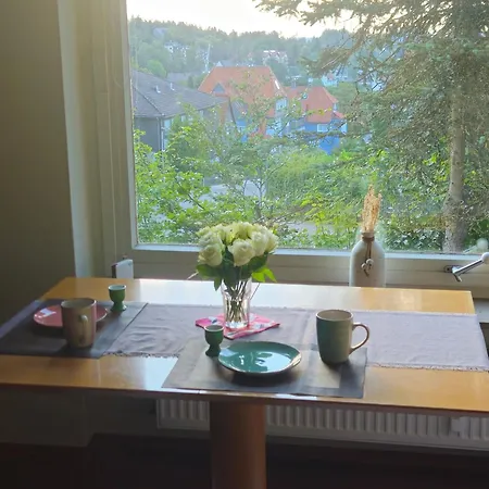 Lejlighed Ferienwohnung Mit Balkon Auszeit Braunlage *